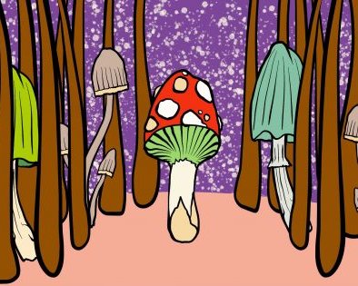 Как избавиться от перхоти и правильно ухаживать за волосами