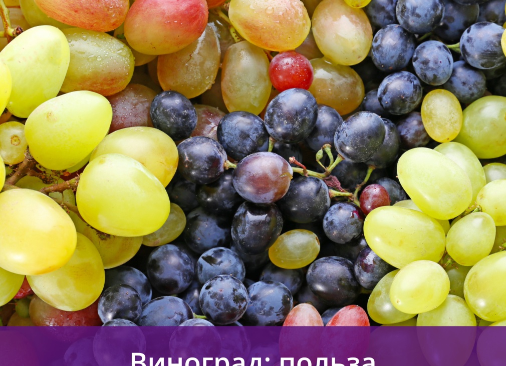 В чём польза винограда и кому он может навредить