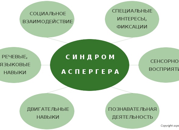 Что такое синдром Аспергера и как его вовремя заметить