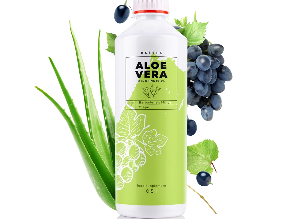 Чем так хорош гель алоэ и почему его можно не покупать