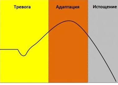 Почему во время карантина совсем нет сил и что с этим делать