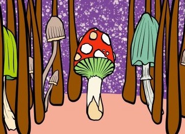 Как избавиться от перхоти и правильно ухаживать за волосами