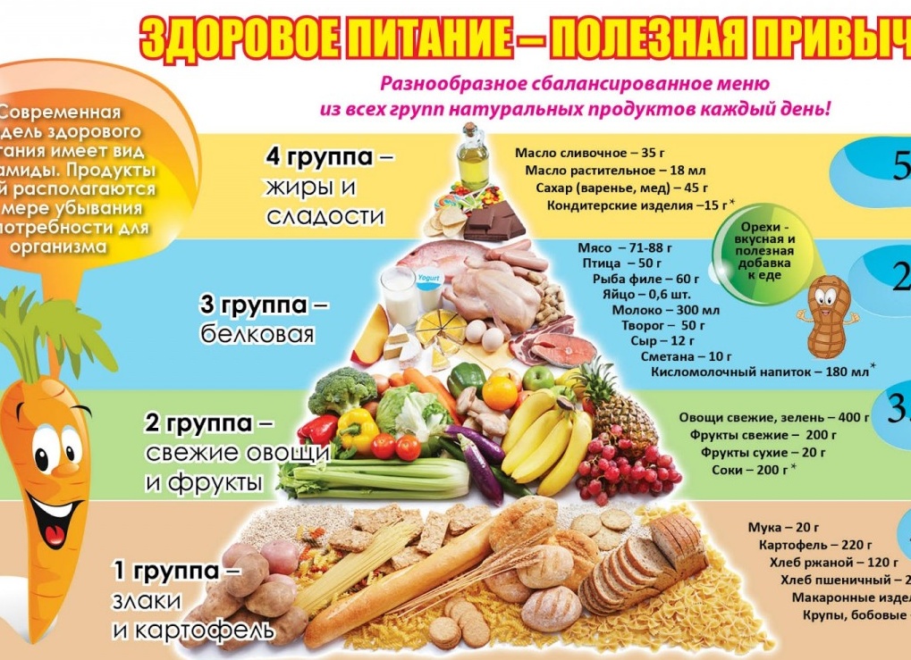 Правильное питание. Жиры