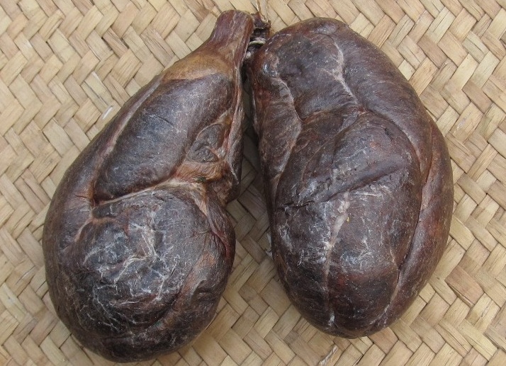 Что такое бобровая струя и стоит ли её пить