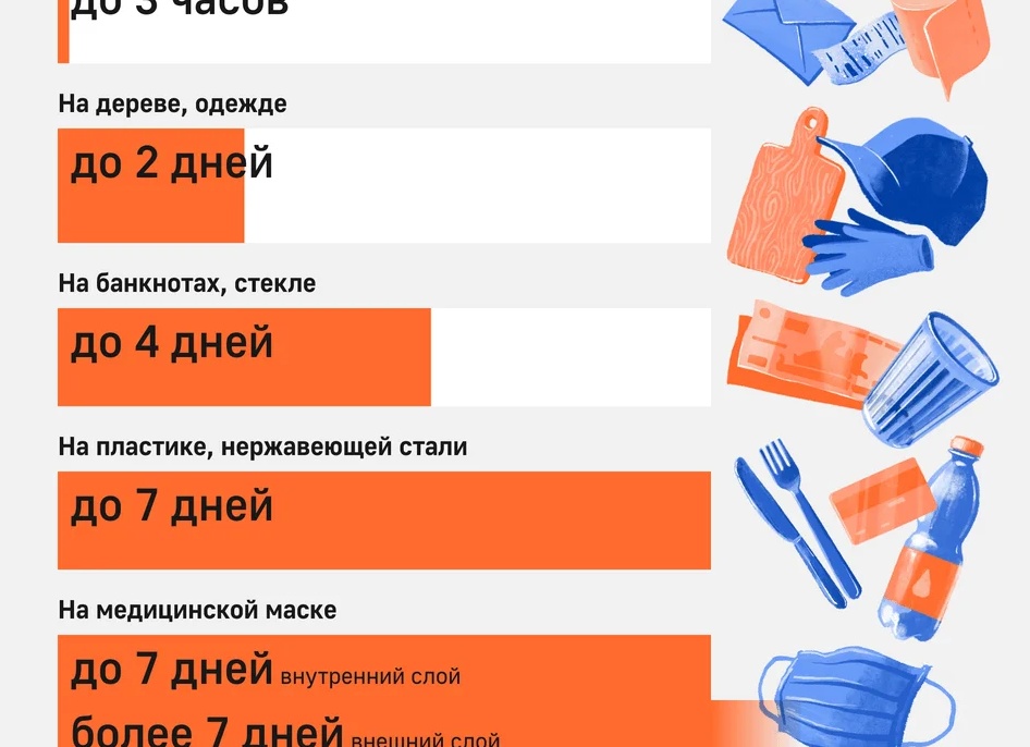 Как долго живут бактерии и вирусы в вашем доме
