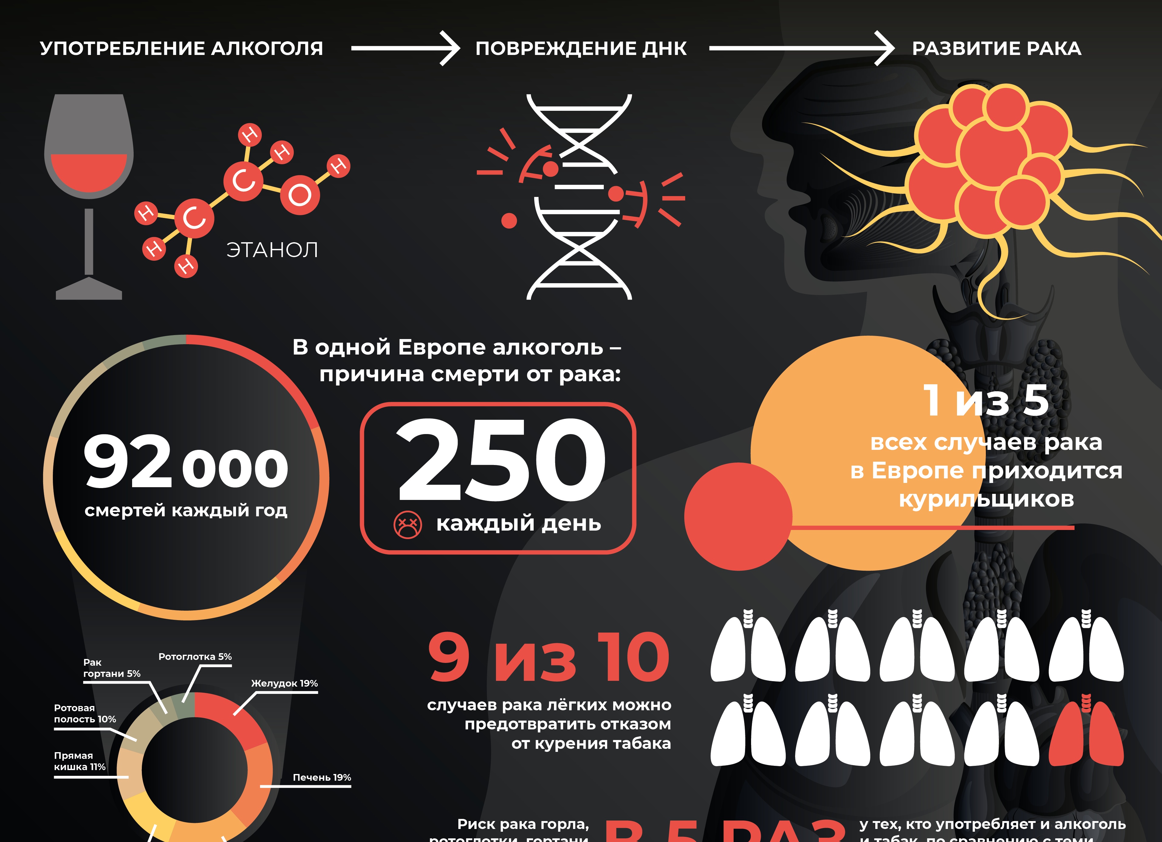 5 фактов о том, как алкоголь влияет на ваше тело
