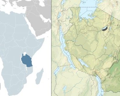 Как образ жизни африканского племени хадза поможет стать здоровее