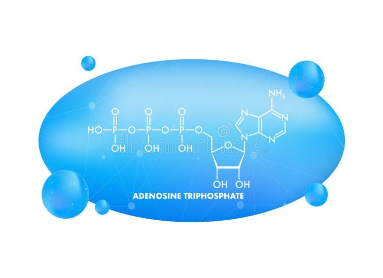 Что такое флоатинг и чем он может быть полезен