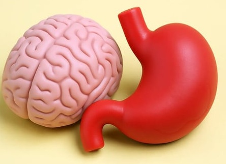 Учёные подтвердили прямую связь между лишним весом и преждевременной смертью