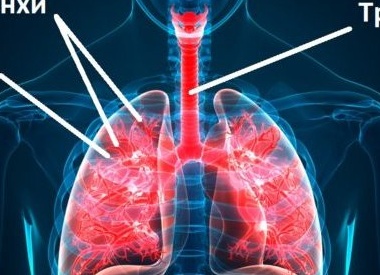 Чем опасен трахеит и как его лечить