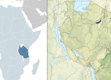 Как образ жизни африканского племени хадза поможет стать здоровее