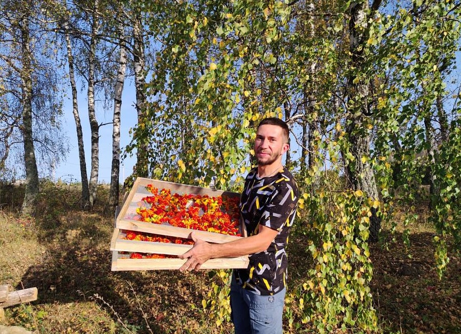 Почему лечиться травами надо с осторожностью