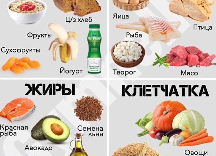 Правильное питание. Белки