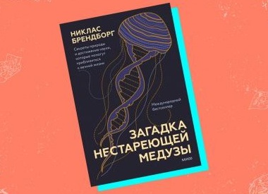 Что такое зомби-клетки и как от них спастись
