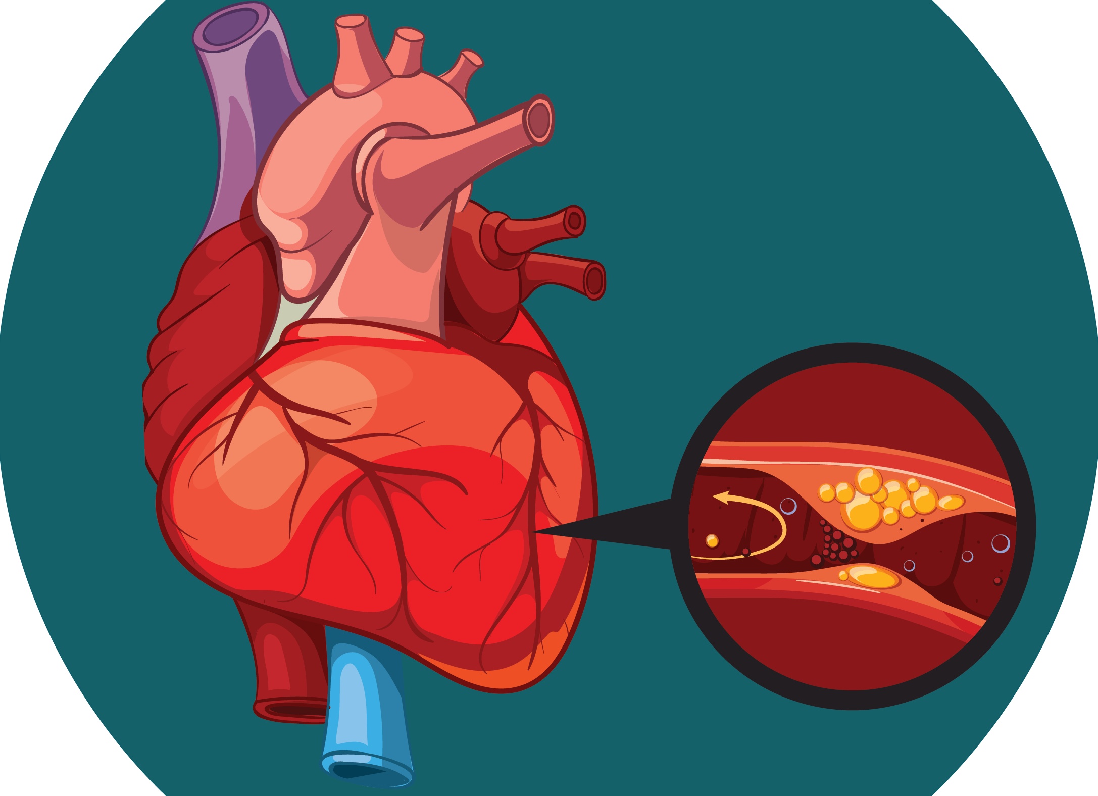 Исследование: кофеин может снижать риск ожирения и диабета