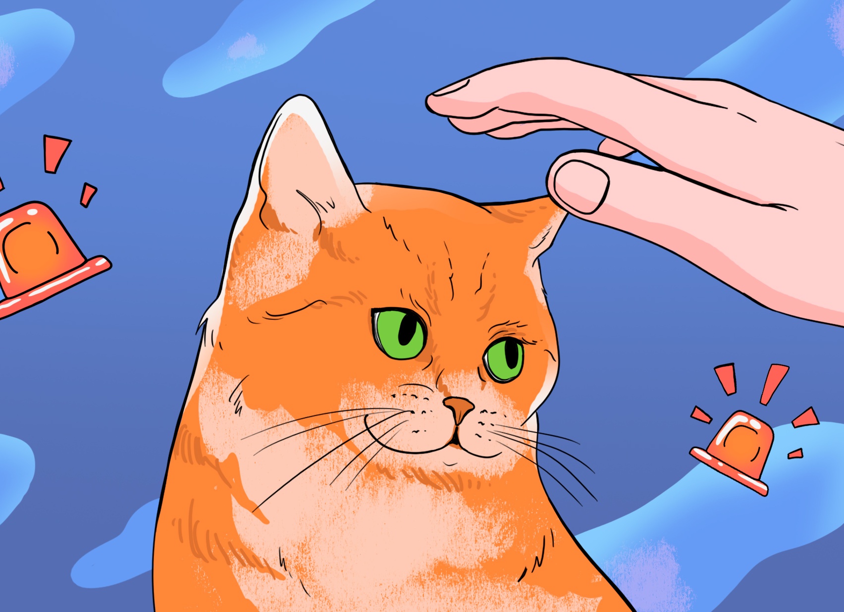 Стоит ли бояться токсоплазмоза и запрещать себе гладить котиков