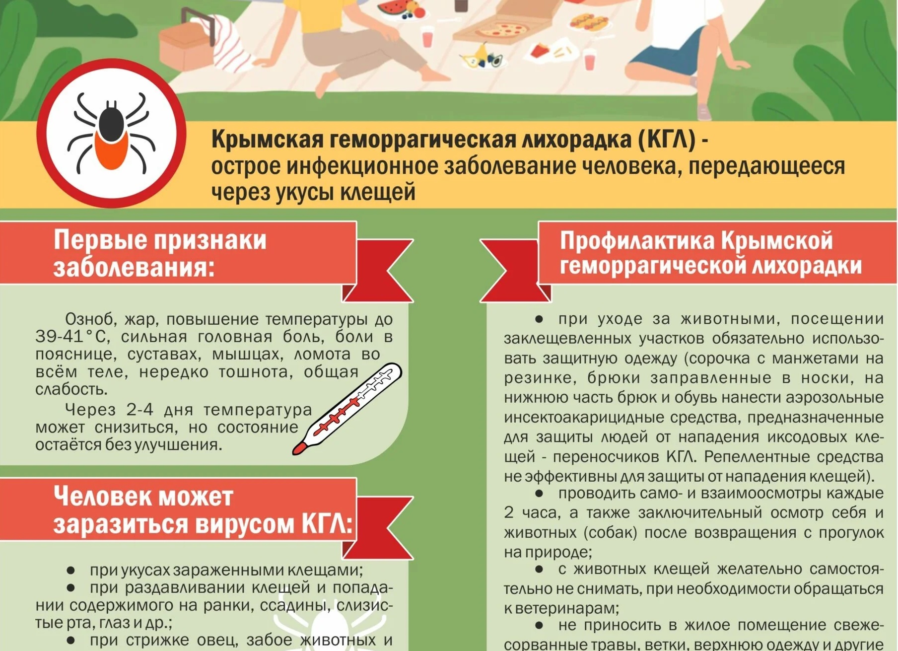Клещи могут передавать крымскую геморрагическую лихорадку. Вот как её распознать и лечить