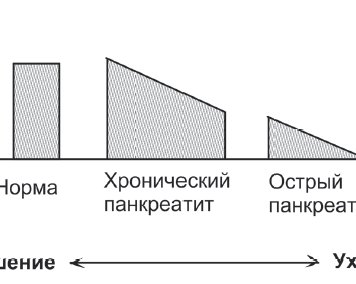 Лечит или калечит: может ли еда навредить или помочь желчному и поджелудочной
